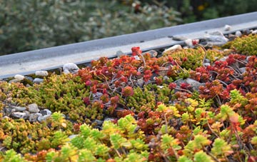 the cost of Calbourne green roof installation