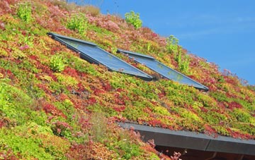 Calbourne living roof systems
